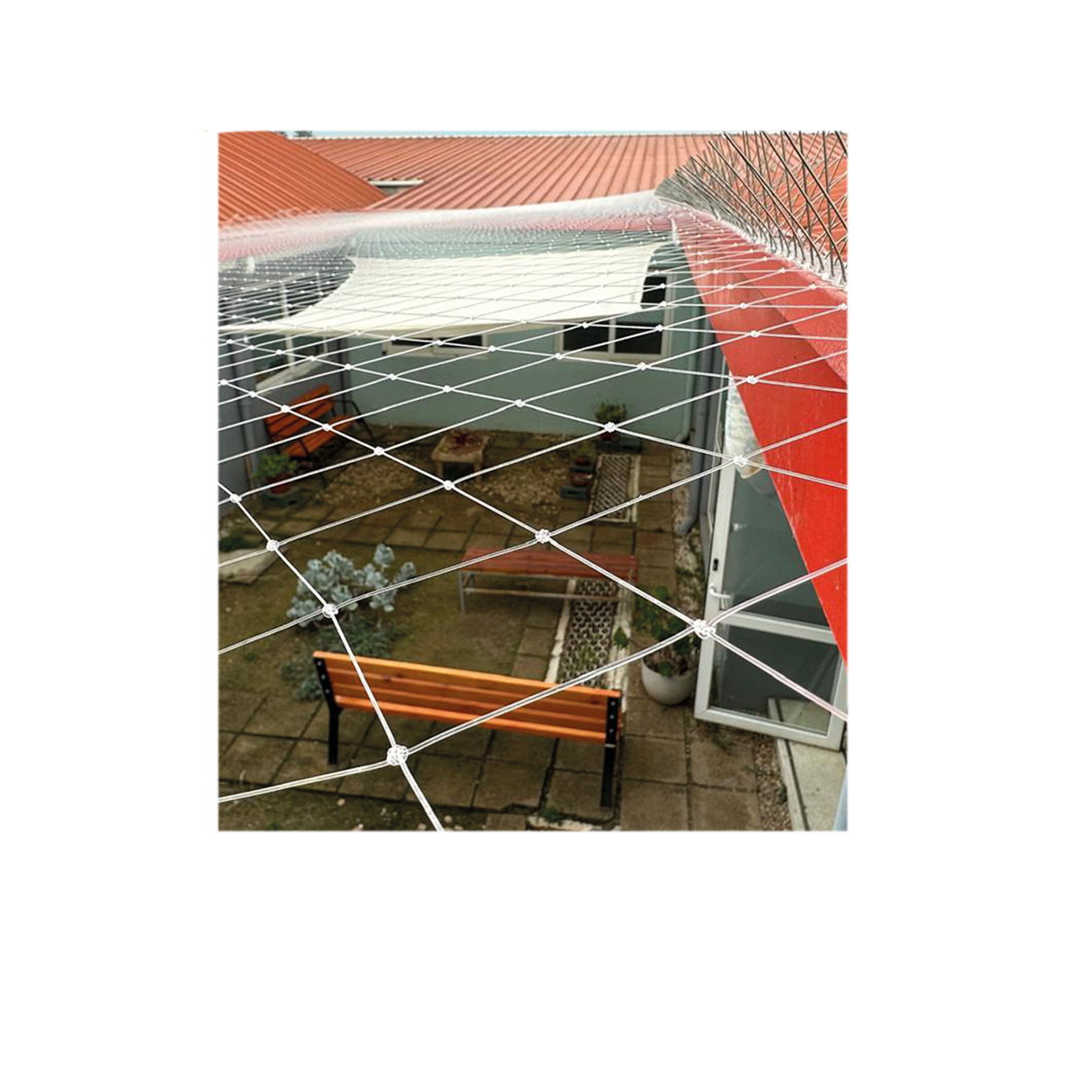 MALLA DE IMPORTACIÓN 10X100 (A PEDIDO) - Imagen 2