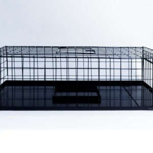 TRAMPA CAPTURA PALOMAS